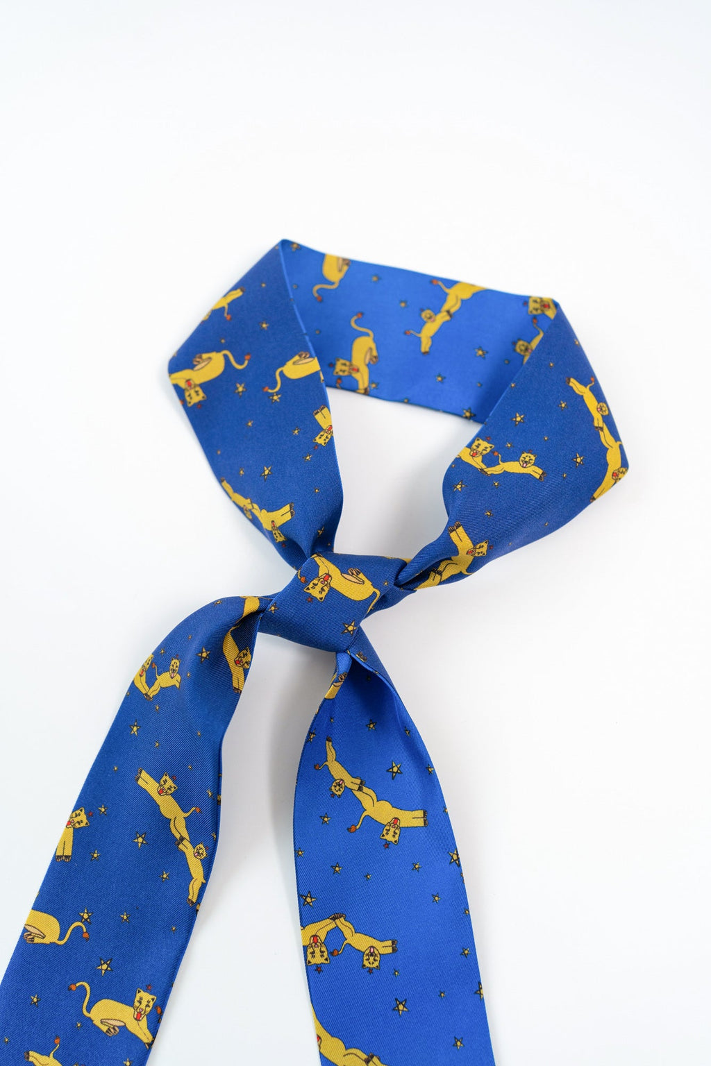 "Journey" Silk Twill Skinny Scarf by SHANTALL LACAYO