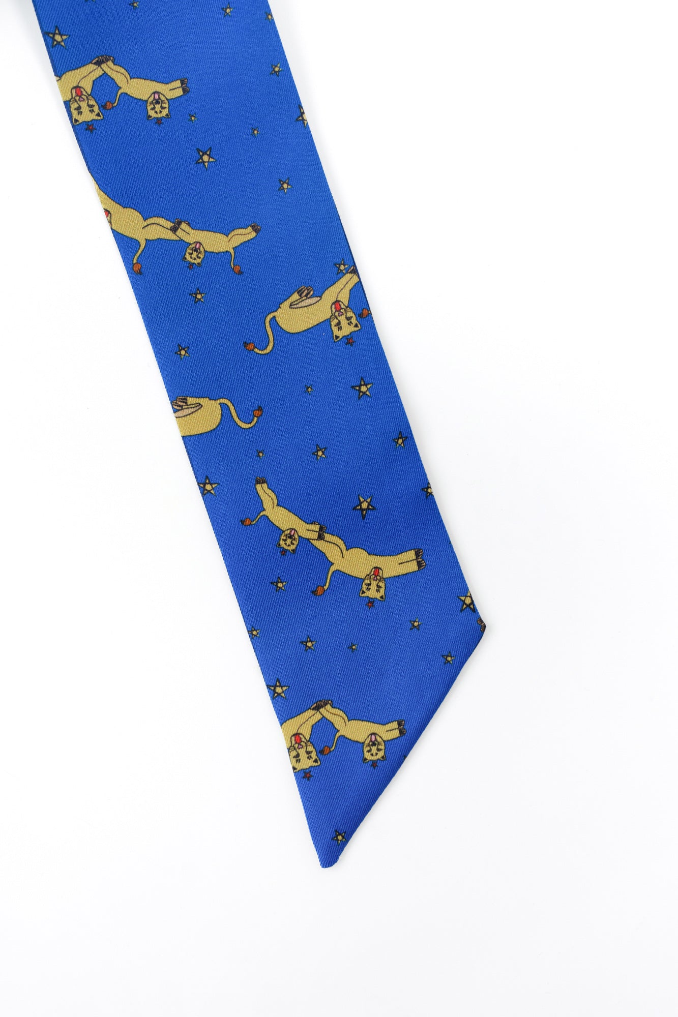 "Journey" Silk Twill Skinny Scarf by SHANTALL LACAYO