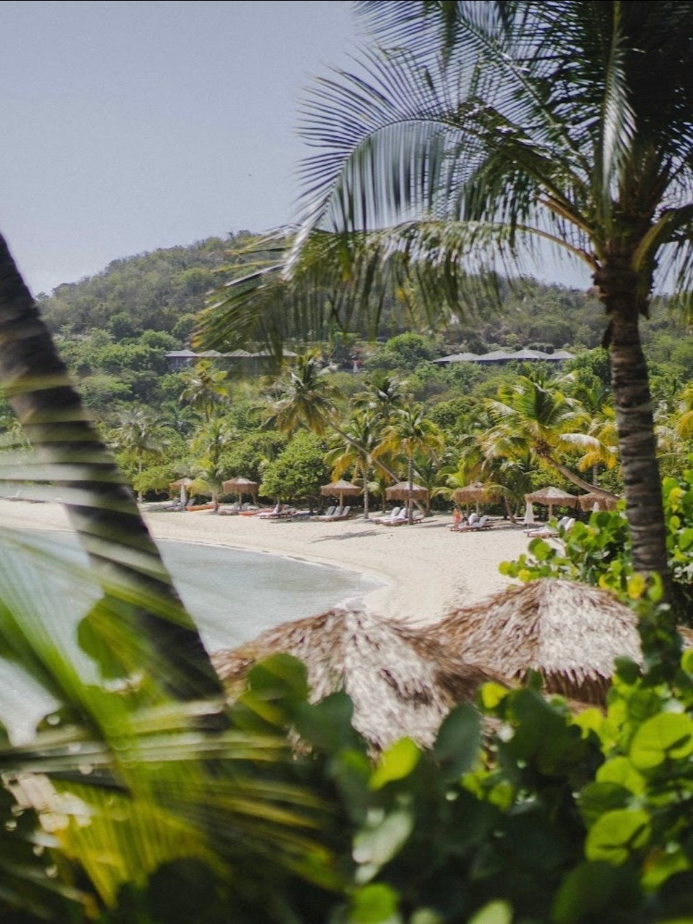 "Little Dix Bay" Large Silk Scarf